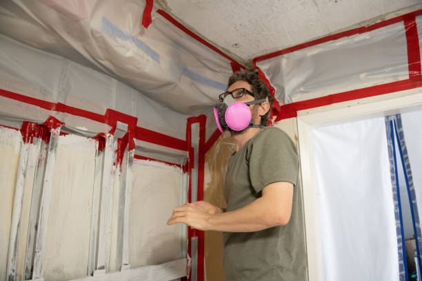 Best Mold Prevention Services  in Patchogue, NY